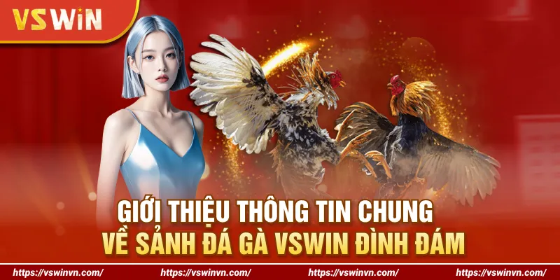 Giới thiệu thông tin chung về sảnh đá gà VSWIN đình đám