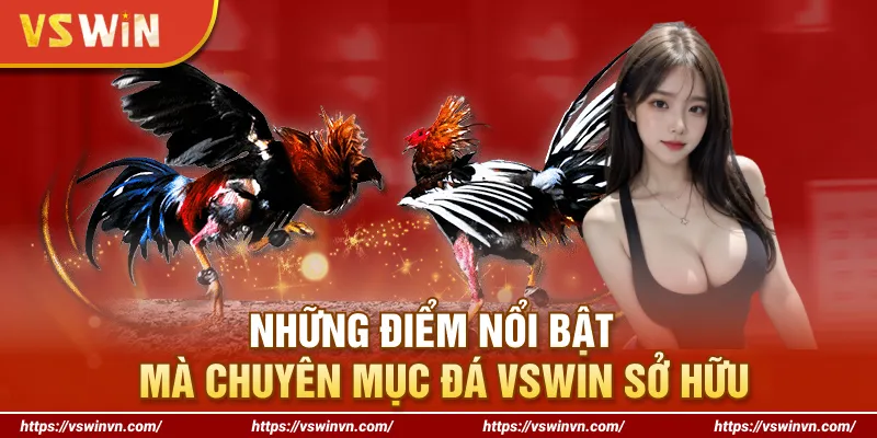 Những điểm nổi bật mà chuyên mục đá VSWIN sở hữu