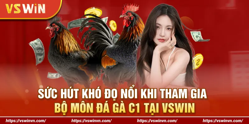 Sức hút khó đọ nổi khi tham gia bộ môn đá gà C1 tại VSWIN